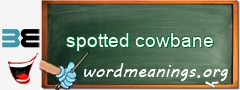 WordMeaning blackboard for spotted cowbane